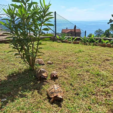 Marini Apartmán Opatija
