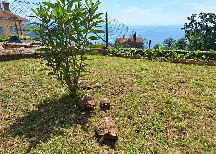 Marini Lejlighed Opatija